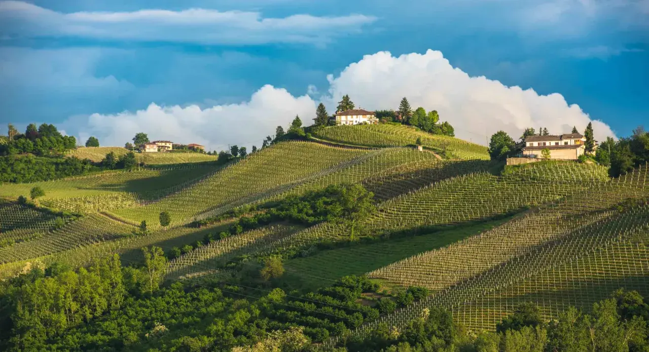 Dolci colline con vigneti ordinati e case in cima, un paesaggio da sogno per un agricampeggio in Piemonte.