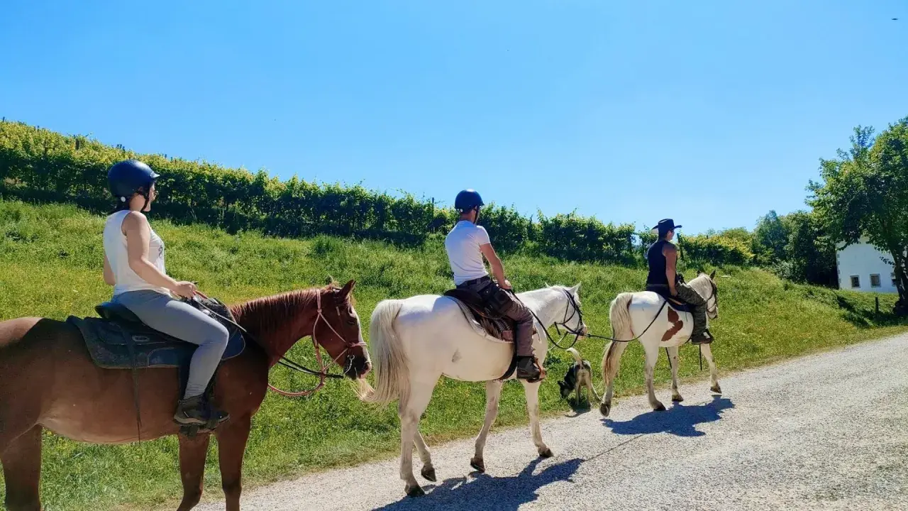 Tre persone in sella a cavalli, godendosi una passeggiata a cavallo in Veneto tra vigneti e colline verdi sotto un cielo azzurro.