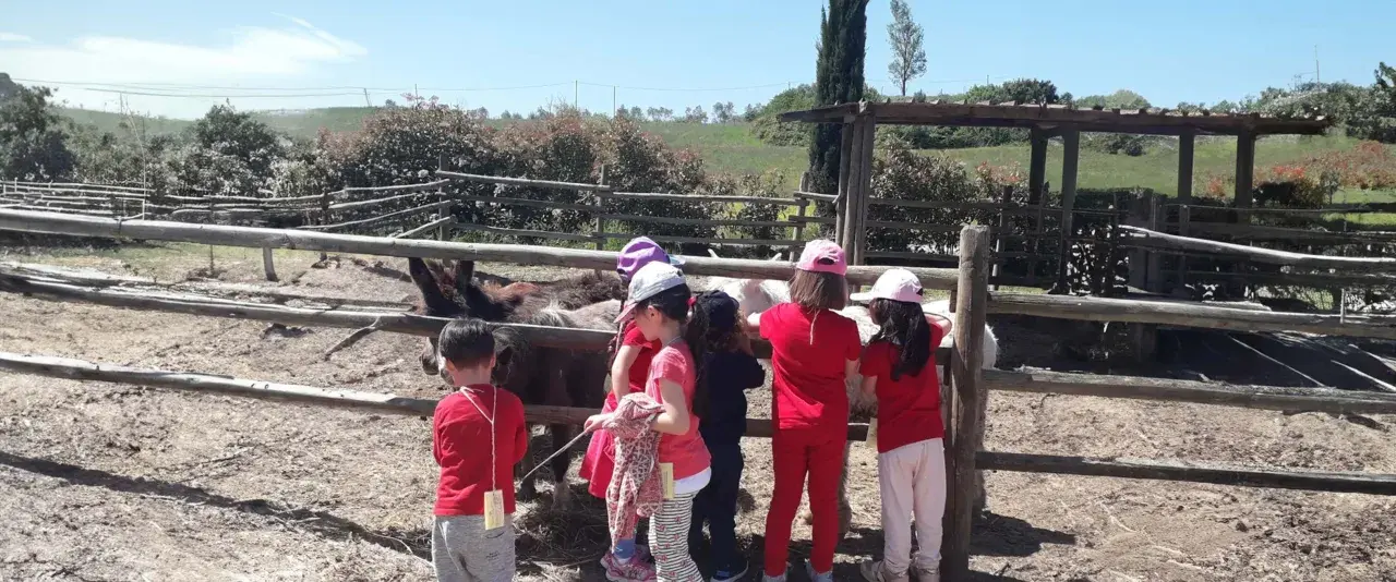 Bambini in visita a una fattoria vicino Firenze, osservano curiosi gli asini e altri animali nel recinto.