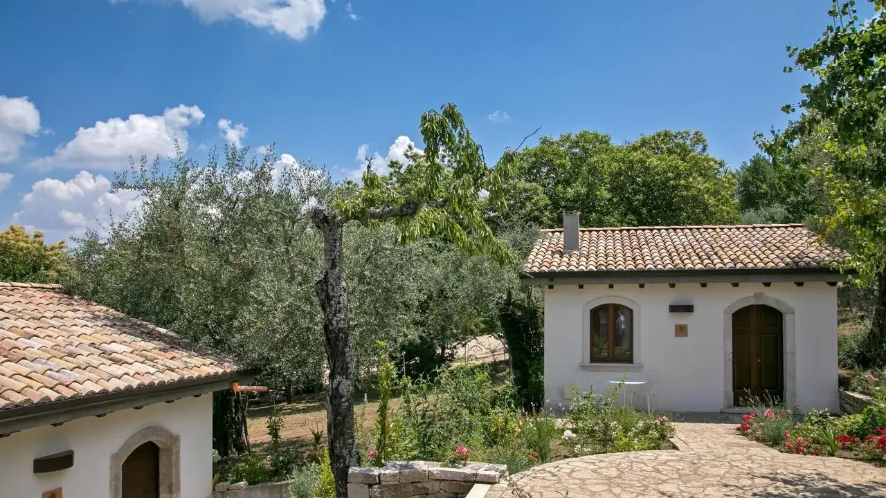 Un angolo di pace tra ulivi e fiori, ideale per scoprire i migliori agriturismi per bambini in Campania.