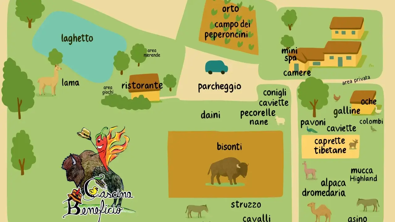 Mappa di una cascina con animali: lama, bisonti, struzzi, asini, conigli, caviette, pecorelle nane, caprette tibetane, pavoni, galline, oche, colombi, alpaca, dromedari e mucca Highland.
