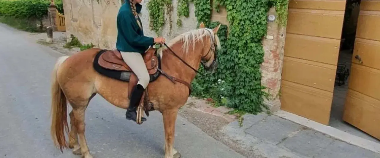 Cavalli toscana: una persona cavalca un cavallo biondo lungo una strada di ciottoli, con edera che ricopre un muro di pietra.