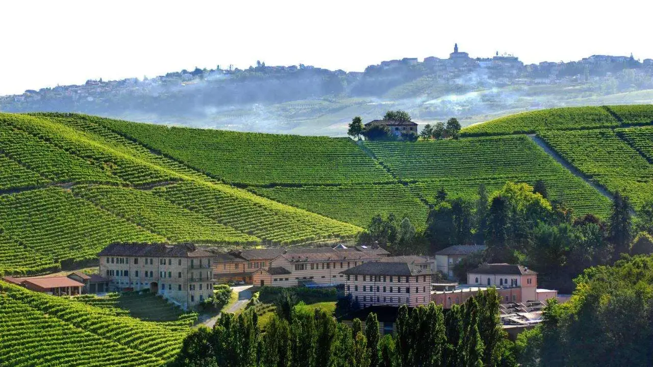 Agriturismi in Piemonte, Langhe: vigneti a perdita d'occhio e borghi collinari. Un paesaggio da sogno.