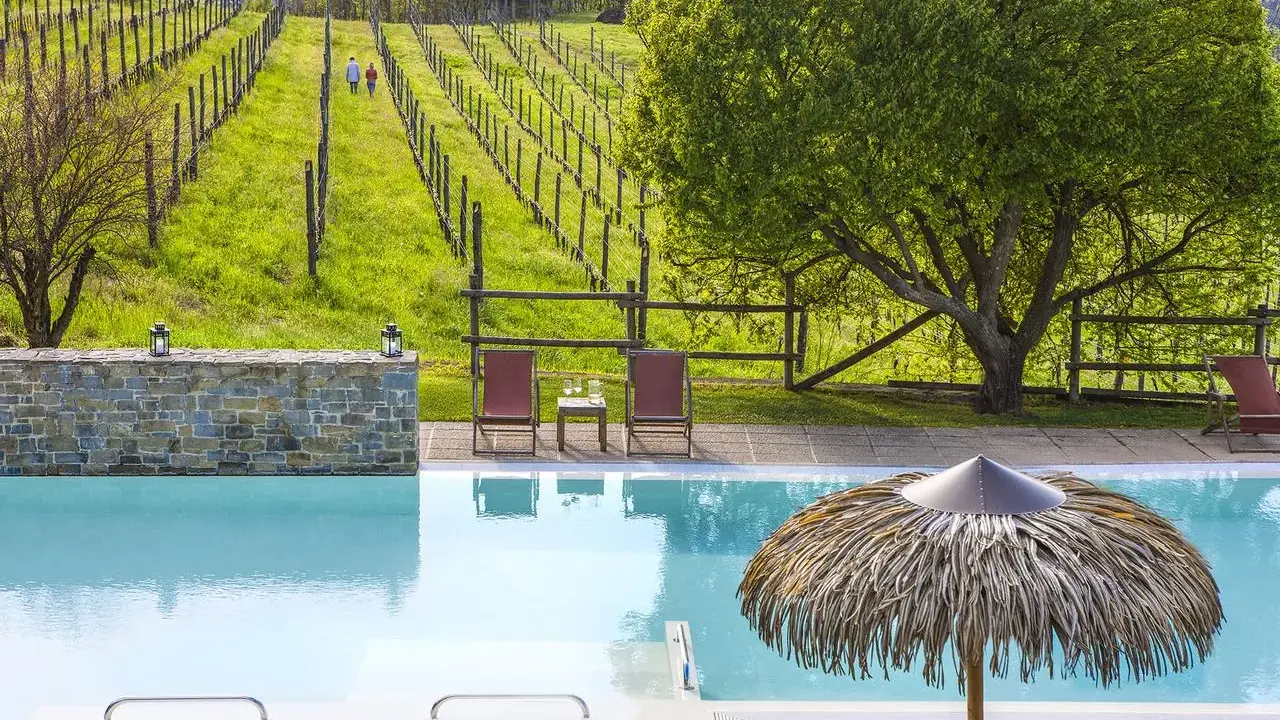 Piscina e vigneti in un agriturismo in Piemonte, ideale per un pranzo rilassante.
