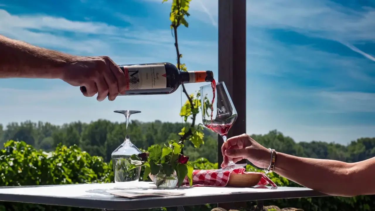 Un bicchiere di vino rosso viene versato da una bottiglia, con un vigneto sullo sfondo. Un'esperienza di degustazione vini Piemonte.