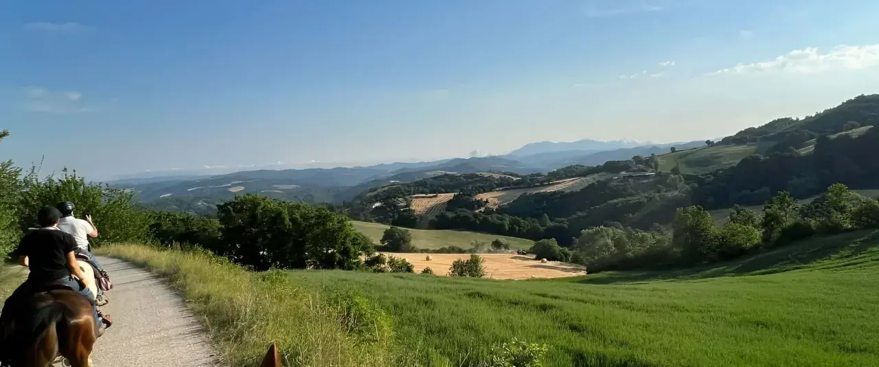 Due persone in sella a cavalli godono di splendide passeggiate a cavallo in Umbria, tra colline verdi e campi dorati.