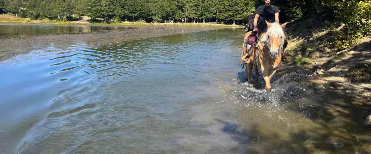 Cavalli che guadano un lago durante una passeggiata a cavallo a Reggio Emilia, con alberi sullo sfondo.