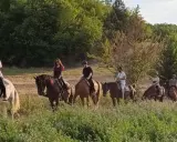 Un gruppo di persone vive un'emozionante passeggiata a cavallo nelle Marche, tra colline verdi e campi dorati.