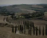 Un casale nel Val d'Orcia autunno, circondato da cipressi che disegnano curve sinuose su dolci colline.