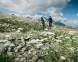 Bambini in mountain bike su un sentiero fiorito, godendosi la **thuile estate** tra le montagne.