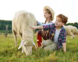 Bambini accarezzano pecore in una fattoria con animali. Un momento di gioia nella natura.
