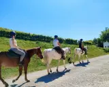 Tre persone in sella a cavalli, godendosi una passeggiata a cavallo in Veneto tra vigneti e colline verdi sotto un cielo azzurro.