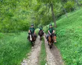 Persone in sella a cavalli durante una passeggiata a cavallo nel Cuneese, immersi nel verde di un bosco.