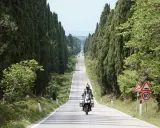 Un motociclista percorre un viale cipressi toscana, immerso nel verde e con il mare all'orizzonte.
