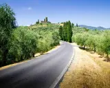Strade del vino toscana: una curva su un asfalto grigio, circondata da ulivi e cipressi, con un borgo in collina.