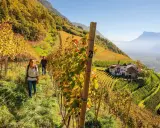 Coppia passeggia tra i vigneti autunnali verso un maso gallo rosso, con montagne sullo sfondo.