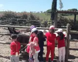 Bambini in visita a una fattoria vicino Firenze, osservano curiosi gli asini e altri animali nel recinto.