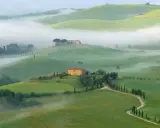 Dolci colline verdi avvolte dalla nebbia mattutina nel Val di Norcia, con casali in pietra e filari di cipressi.
