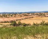 Colline dorate e cipressi iconici, un paesaggio da sogno per un tour toscana 5 giorni.