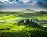 Colline verdi ondulate del Val d'Orcia, con una casa colonica e cipressi su una collina. Un paesaggio da sogno, quasi una mappa visiva della Toscana.