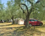 Un tranquillo **agricampeggio nel Lazio**, tra ulivi secolari, con tende e auto parcheggiate.