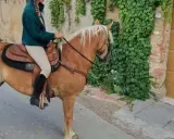 Cavalli toscana: una persona cavalca un cavallo biondo lungo una strada di ciottoli, con edera che ricopre un muro di pietra.
