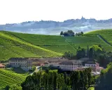 Agriturismi in Piemonte, Langhe: vigneti a perdita d'occhio e borghi collinari. Un paesaggio da sogno.