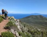 Persone in cammino su sentiero panoramico, godendosi le camminate organizzate in Toscana con vista sul mare e isole.
