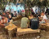 Gente seduta su balle di fieno sotto alberi, un evento estivo in Sicilia.