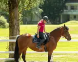 Ragazza in sella a un cavallo castano in un maneggio, con un edificio sullo sfondo. Un'esperienza indimenticabile in un hotel con maneggio.