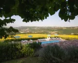 Piscina e lettini con vista su un campo di girasoli, tipici degli agriturismi nelle colline marchigiane.