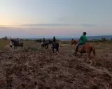 Un gruppo di persone fa una **passeggiata a cavallo in Puglia** al tramonto, godendosi il paesaggio collinare e il mare in lontananza.