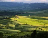 Dolci colline verdi del Val d'Orcia, con una strada tortuosa che porta a una casa colonica. Un paesaggio da sogno da esplorare.