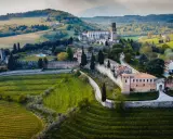 Castello di Conegliano, un gioiello tra le colline del Prosecco cosa vedere. Vigneti verdi e architettura storica si fondono in un paesaggio incantevole.
