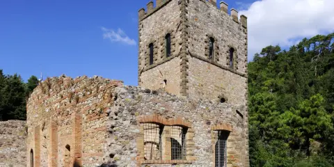 Rovine di un castello con torre merlata, un esempio di cosa vedere a Montecatini Val di Cecina, immerso nel verde.