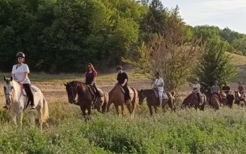 Un gruppo di persone vive un'emozionante passeggiata a cavallo nelle Marche, tra colline verdi e campi dorati.