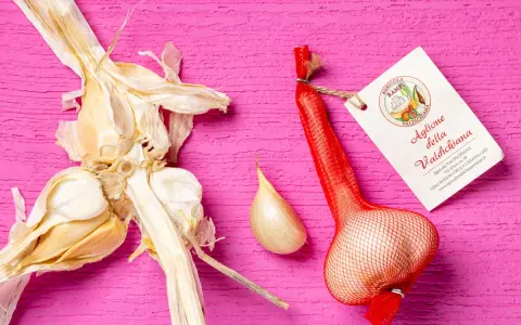 Aglione della Valdichiana, perfetto per le tue aglione ricette. Un bulbo intero e uno spicchio su sfondo rosa.