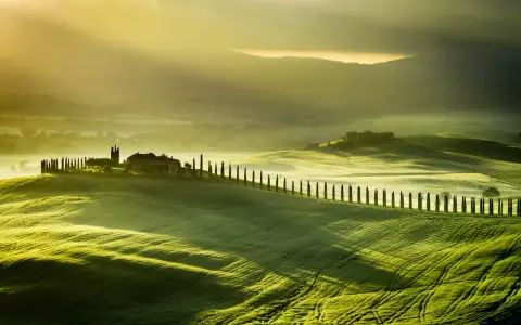 Dolci colline verdi illuminate dal sole del mattino, con un casale e un viale di cipressi che invitano a una vacanza in Val d'Orcia.