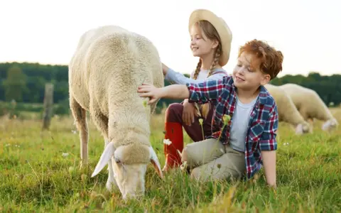 Bambini accarezzano pecore in una fattoria con animali. Un momento di gioia nella natura.