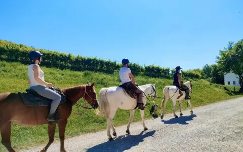 Tre persone in sella a cavalli, godendosi una passeggiata a cavallo in Veneto tra vigneti e colline verdi sotto un cielo azzurro.
