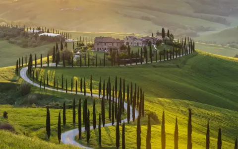 Colline ondulate del Val d'Orcia, cipressi lungo una strada tortuosa, un casale in pietra. Perfetto per cosa vedere in 3 giorni.