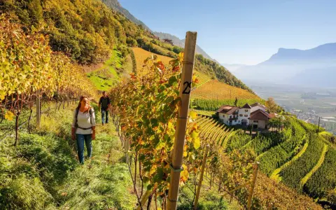 Coppia passeggia tra i vigneti autunnali verso un maso gallo rosso, con montagne sullo sfondo.