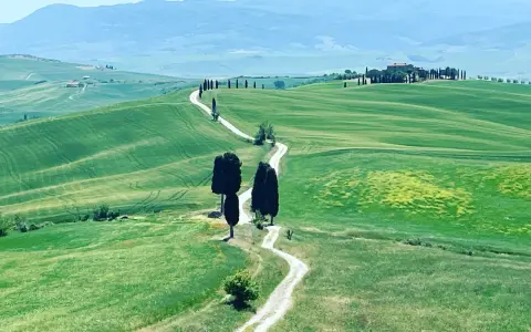 Un sentiero serpeggia tra le dolci colline verdi della Val d'Orcia, ideale per un indimenticabile trekking.