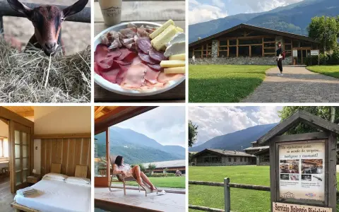 Un agriturismo in montagna in estate: capretta curiosa, tagliere di salumi e formaggi, un edificio moderno, una camera accogliente e una donna rilassata con vista panoramica.