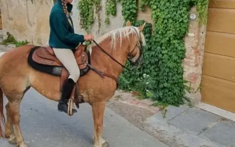 Cavalli toscana: una persona cavalca un cavallo biondo lungo una strada di ciottoli, con edera che ricopre un muro di pietra.