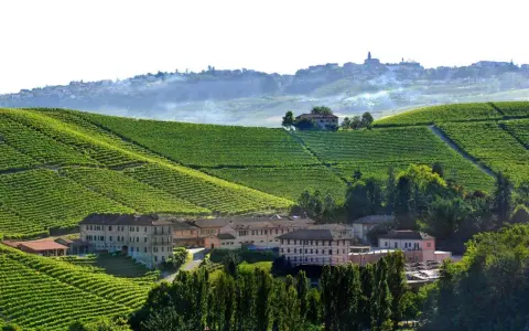 Agriturismi in Piemonte, Langhe: vigneti a perdita d'occhio e borghi collinari. Un paesaggio da sogno.