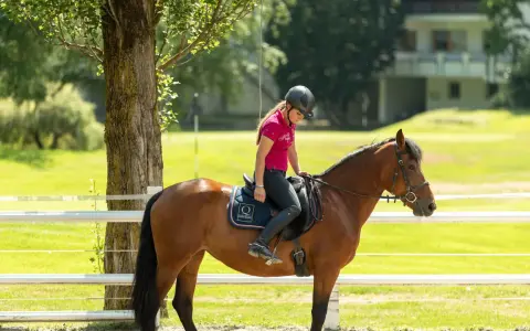 Ragazza in sella a un cavallo castano in un maneggio, con un edificio sullo sfondo. Un'esperienza indimenticabile in un hotel con maneggio.