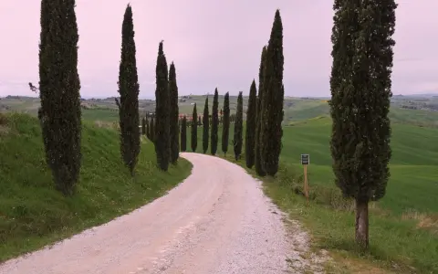 Strada dei cipressi in Val d'Orcia, un sentiero sterrato serpeggia tra dolci colline verdi, fiancheggiato da alti cipressi.