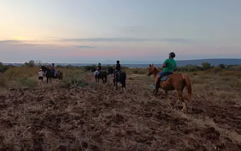 Un gruppo di persone fa una **passeggiata a cavallo in Puglia** al tramonto, godendosi il paesaggio collinare e il mare in lontananza.
