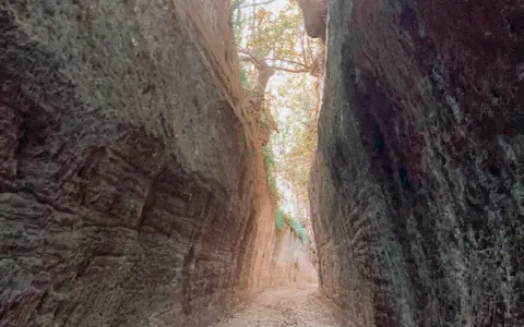 Sentiero scavato nella roccia, con alberi e luce che filtrano dall'alto. Un luogo suggestivo, dove la natura mostra cosa vedere.
